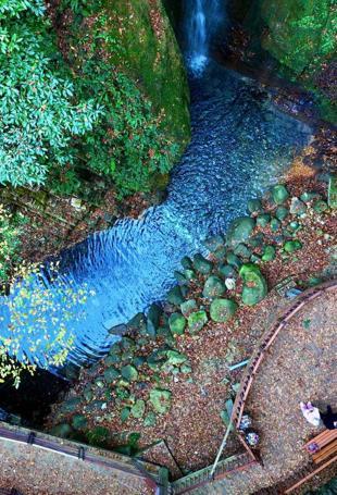 Ecotourism flourishes in forests, driving rural development