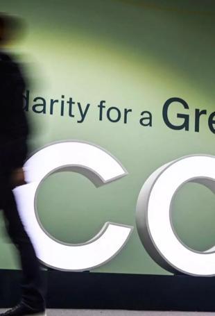 Australia rejects offer to co-host UN climate summit with Türkiye