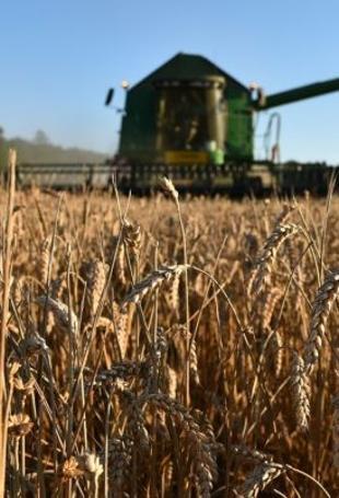 EU reaches accord on new generation of GM crops