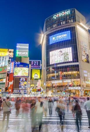 Visa‑free travel, new flights boost Turkish visit to Japan