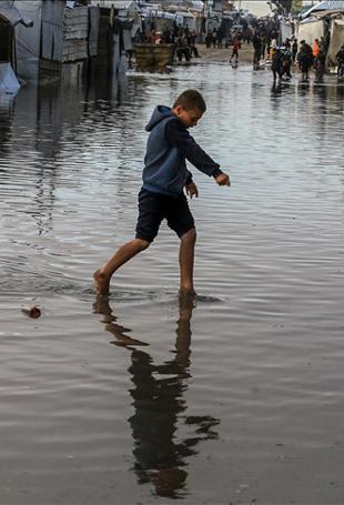 Storm kills 11 Palestinians, causes $4M damage in Gaza
