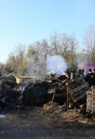 French farmers block roads over cow disease cull