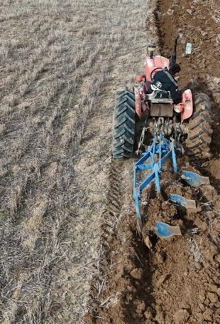 Authorties speed up new farming strategies amid drought