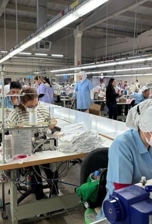 Apparel industry pins hopes on 2026 for export rebound