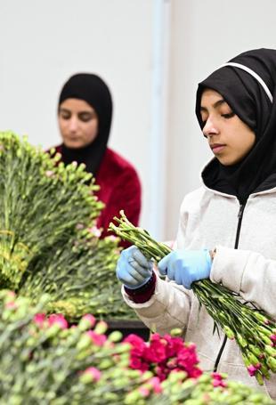 $12 million in flowers exported for New Year celebrations