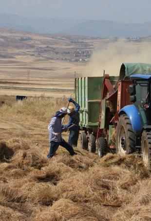 Annual increase in agricultural input prices slows in October