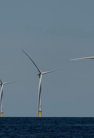 US halts offshore wind projects citing national security