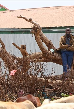 Somalia denounces Israeli recognition of Somaliland