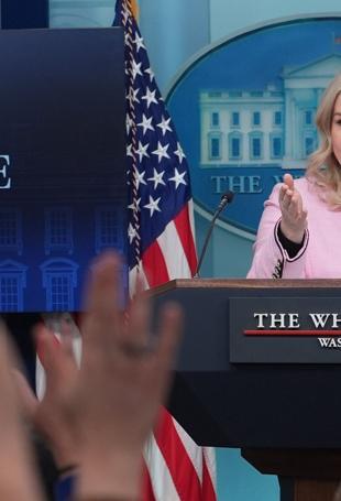 Trump actively discussing purchase of Greenland: White House