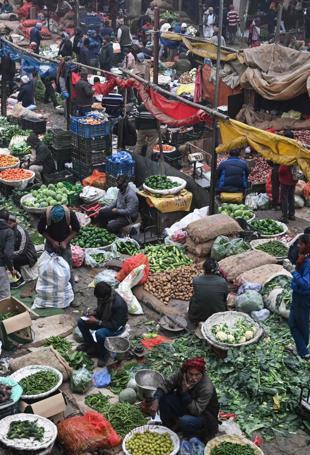 Global food prices up 4.3 pct in 2025, says FAO