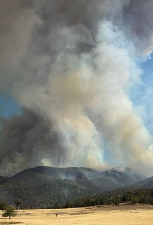 Scores of homes razed, one dead in Australian bushfires