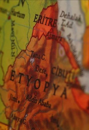 Türkiye seeks multi-sector cooperation with Ethiopia