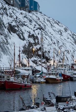 Germany, France to send troops to Greenland