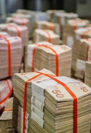 Budget deficit narrows to $41.6 billion in 2025: Ministry