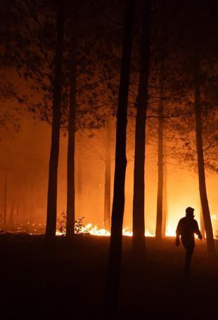Entire towns wiped out in Chile wildfires