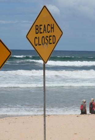 Shark bites surfer in Australian states fourth attack in 48 hours