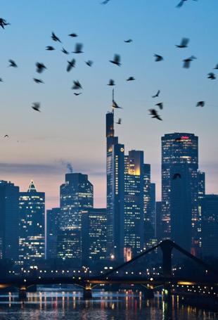 Germany cuts 2026 growth forecast to one percent