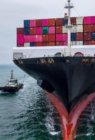 Sea route carried 56 pct of exports in 2025