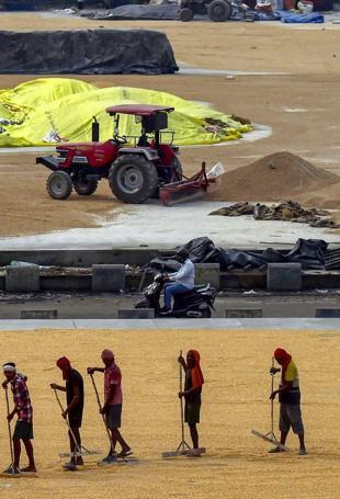 Indias Modi lauds interim trade pact after US tariff rollback