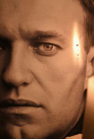 UK says Russian opposition figure Navalny poisoned with dart frog toxin in prison