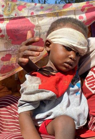 UN Sudan probe finds hallmarks of genocide in El-Fasher