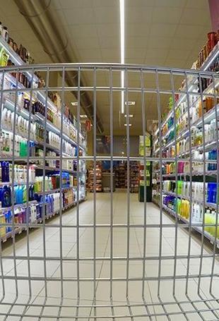 Sectoral confidence indices show mixed trends in February