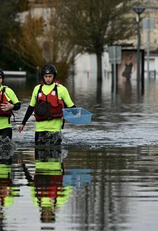 Disinformation new enemy in disaster zones: Red Cross