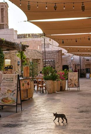 Dubai is safe: UAE pushes to contain fallout from Iran onslaught