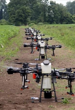 Digital transformation placed at the heart of agriculture