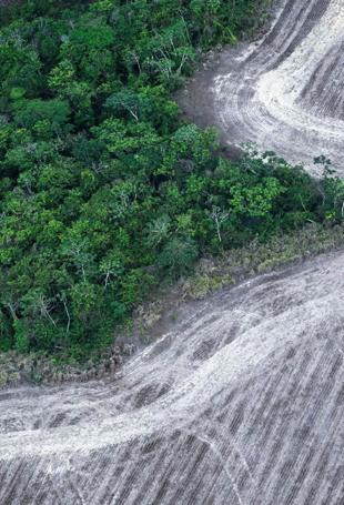 Brazils new climate plan targets deforestation
