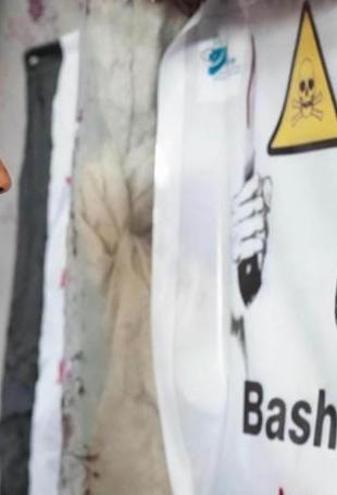 Türkiye joins task force to eliminate Assad’s chemical weapons