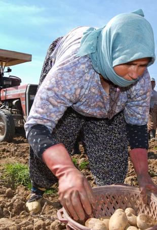 Unemployment in 2025 down to 8.3 percent, lowest in 21 years