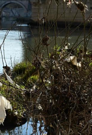 EU urged to broadly restrict forever chemicals