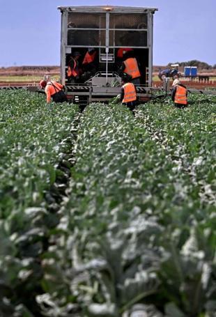 Iran war drives food price pressures in Türkiye and globally