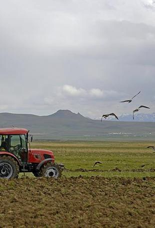 War puts Turkish farmers in a ‘low yield or high cost’ dilemma