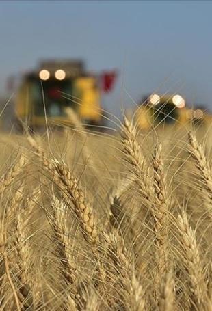 Türkiye to launch AI-powered farm project to attract young farmers