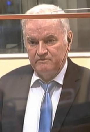 Butcher of Bosnia Mladic suffers stroke: Son