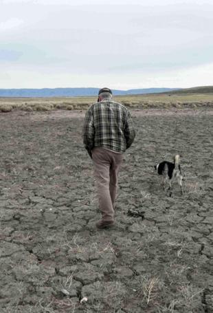 Record US drought sparks worries about food prices