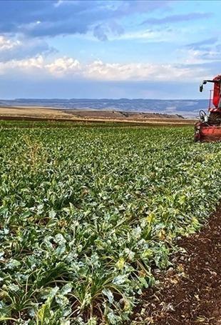 Mixed outlook for Turkish farmers following last year’s frost