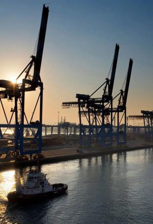 Ukraine slams Israel over shipments of grain stolen by Russia