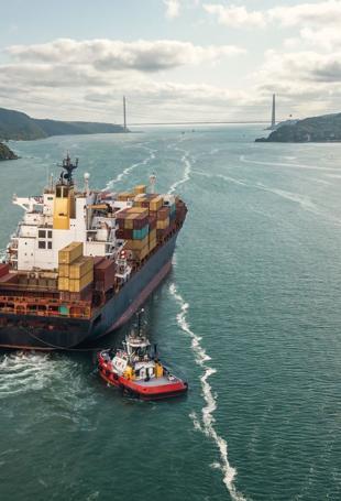 Exports surge and trade deficit narrows nearly 30 pct in April