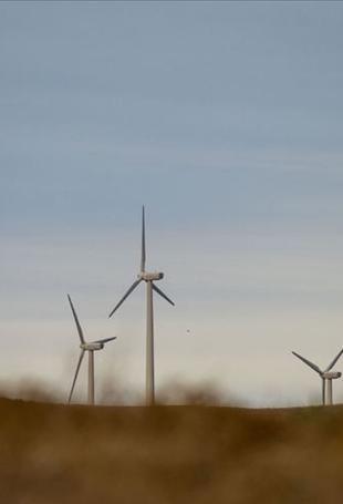 Türkiye expects stronger wind power installations this year