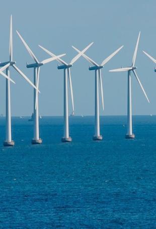 Four offshore wind zones identified as candidate YEKA areas