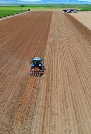 Agricultural production will recover this year, says Minister