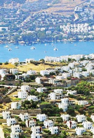 Rising single-person Turkish households shrink average home sizes