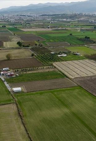 Rains boost Türkiye’s grain output but hurt fruit, vegetable quality
