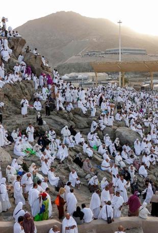 Pilgrims pray on Mount Arafat as hajj reaches peak