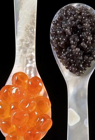 Türkiye targets global market with ‘Turkish caviar’