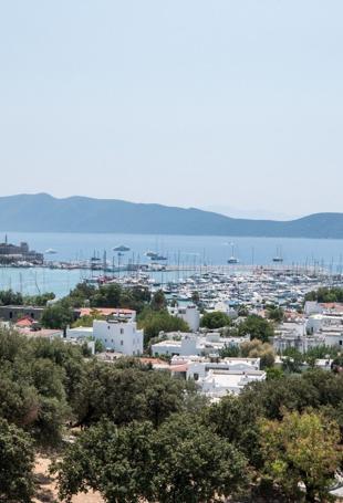 Türkiye’s coastal property market sees strong growth