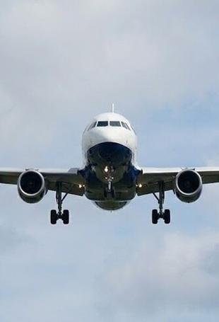 Sustainable jet fuel too costly and scarce, airline group warns